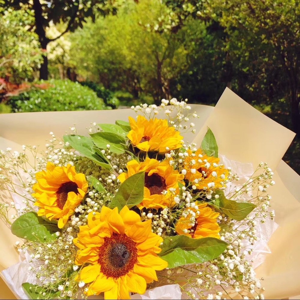 Meet your Posher, Jocelyn